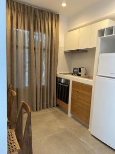 阿吉亚利艾里亚一室公寓的厨房配有白色冰箱和窗户。
