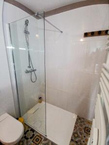 安锡L'ANNÉCIEN - Centre-ville Netflix Wifi Disney+的浴室内带卫生间的淋浴间