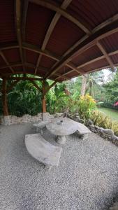 乌维塔Casitas Del Rio Riverfront Jungle Beach Vacation的一个带石桌的庭院