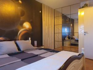 斯雷姆斯卡米特罗维察Apartman River的一间卧室设有一张床和一个大型玻璃墙