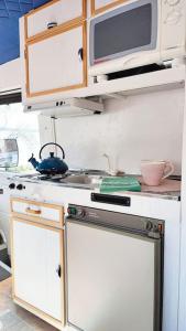 赫尔辛基Lissu Love Mobil的厨房配有炉灶和微波炉。