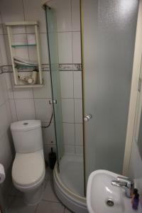 萨拉热窝Guesthouse Yildiz 2的带淋浴、卫生间和盥洗盆的浴室