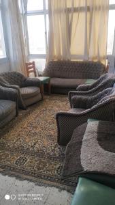 亚历山大Alexandria的带沙发和地毯的客厅