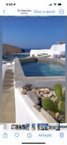 Merchia BeachMiramare Suites Mykonos的一张带仙人掌的游泳池的照片
