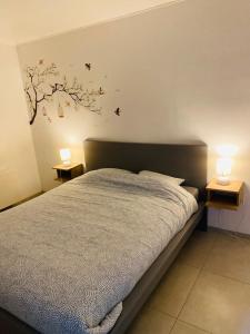 艾瓦耶Au Paradis d'Ayli的一间卧室配有一张床、两个床头柜和两盏灯。