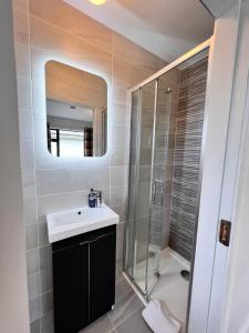 肯梅尔Greenville B&B的浴室配有盥洗盆和带镜子的淋浴