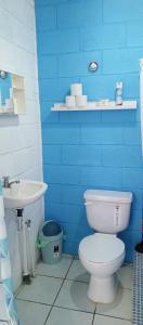 拉利伯塔德Mini casa a dos cuadras de la playa, muy cerca del comercio local的蓝色的浴室设有卫生间和水槽
