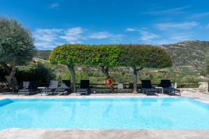 阿卡尼斯伊利亚希奥斯公寓式酒店的一个带椅子和树木的大型游泳池