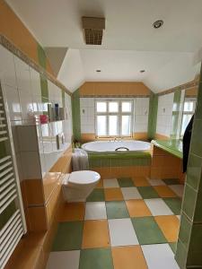 JindřichoviceUbytování Háj的带浴缸、卫生间和浴缸的浴室。