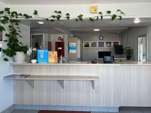奥德萨Motel 6-Odessa, TX的办公室上方有植物的接待台
