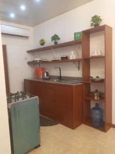 LindenWisroc Oasis的厨房配有水槽和炉灶。