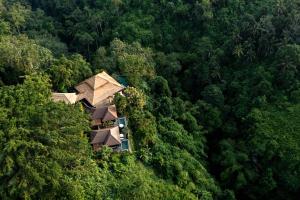 乌布巴厘岛乌布别墅酒店的森林中间房屋的空中景观