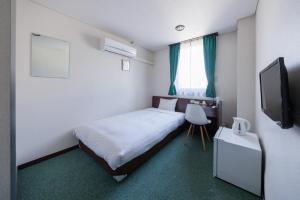 日立市ホテルノマド日立的一间小卧室,配有一张床和电视