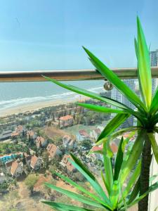 头顿The Sóng Apartment 5 Start - Windy's Home的从种有植物的窗户欣赏海滩美景
