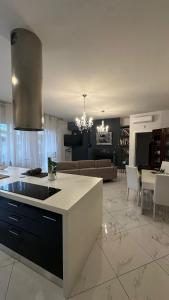 克雷莫纳Luxury home stanza in appartamento condiviso的厨房以及带台面的起居室。