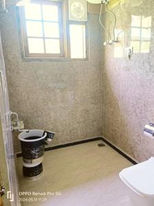 古尔马尔格The Frozenfall Resort的一间带水槽和卫生间的浴室以及窗户。