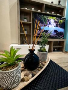 干尼亚Nina Apartment的黑色花瓶坐在桌子上,种着植物
