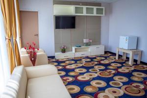 Băltenii de SusBella Marina的带沙发和地毯的客厅