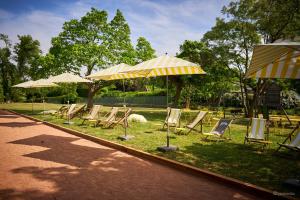 圣西尔·奥芒特Domaine Les Lanternes的草地上一排草坪椅和遮阳伞