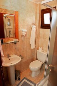 伊里斯斯Dionysus Apartments & Suites的一间带卫生间和水槽的浴室