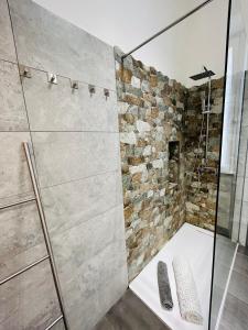 罗马Prati di Borgo的带淋浴的浴室(带石墙)