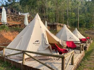 河江Best View Đồng Văn的田野里一排带红色椅子的帐篷