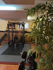 哈尔伯格摩斯Runa´s Hotel的一间设有植物健身房的房间