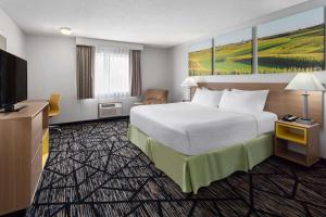 奥加拉拉奥加拉拉戴斯汽车旅馆的配有一张床和一台平面电视的酒店客房