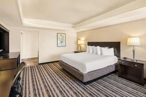 圣乔治珊瑚山贝特韦斯特酒店的配有一张床和一台平面电视的酒店客房