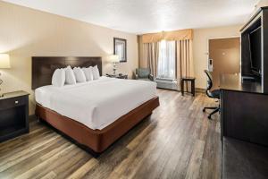 圣乔治珊瑚山贝特韦斯特酒店的酒店客房设有一张大床和一台电视。