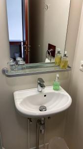 埃基斯蒂尔斯基帕來库尔旅馆的浴室设有白色水槽和镜子