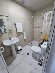 库塔伊西HillTOP Kutaisi的一间带水槽、卫生间和淋浴的浴室