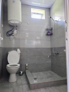 拉戈代希Jibghashvilebi's house的一间带卫生间和淋浴的浴室
