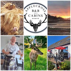 阿普尔克罗斯Applecross B&B & Cabins On NC500, 90 mins from Skye的照片与一个被 ⁇ 和鹿包围的人相拼合