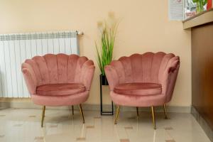 大特尔诺沃幸运酒店的植物间里两把粉红色的椅子