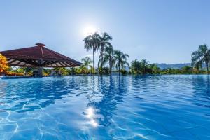 里贝朗克拉鲁Daj Resort & Marina的棕榈树度假村的游泳池
