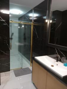 弗瓦迪斯瓦沃沃Wiking的一间带玻璃淋浴和水槽的浴室