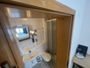斯图加特Hotel Hafner的一间带水槽、卫生间和镜子的浴室