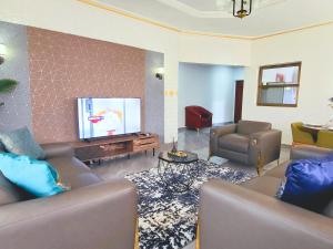 黑角Elegant Appartement BELAPPART的带沙发和平面电视的客厅