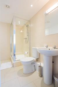 剑桥剑桥水屋公寓的一间带水槽、卫生间和淋浴的浴室
