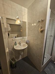 阿尔森德阿森瑟赫伯格酒店的一间带水槽和淋浴的浴室