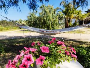 马劳萨Saluto al Sole 01的花园里的吊床,种有粉红色的花卉