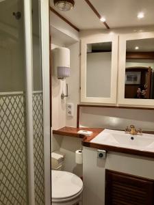 斯德哥尔摩Mälardrottningen Yacht Hotel的一间带卫生间和水槽的小浴室