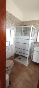 拉拉古纳Finca Rural La Casa Verde Shalom Tenerife的一间带卫生间和玻璃淋浴间的浴室