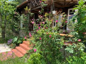 阿普春安Romantic house on a pine hill Dalat的前面有一束鲜花的房子