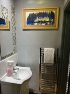 爱丁堡Cozy Central 1 Bedroom Flat的白色的浴室设有水槽和镜子