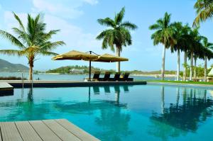 乌代浦拉肯德酒店的一座棕榈树游泳池,享有水景