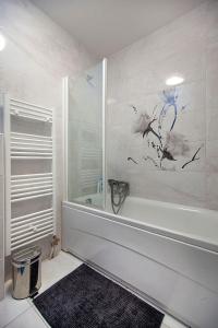 马里博尔Rooms & Apartments Banjac的带淋浴和浴缸及绘画的浴室