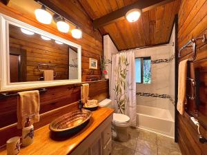 沃尔卡诺家园频道海尔斯威特海尔度假屋的一间带水槽、卫生间和淋浴的浴室