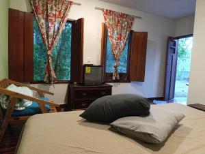 巴利亚多利德El Callejón的一间卧室设有一张床、一台电视和窗户。